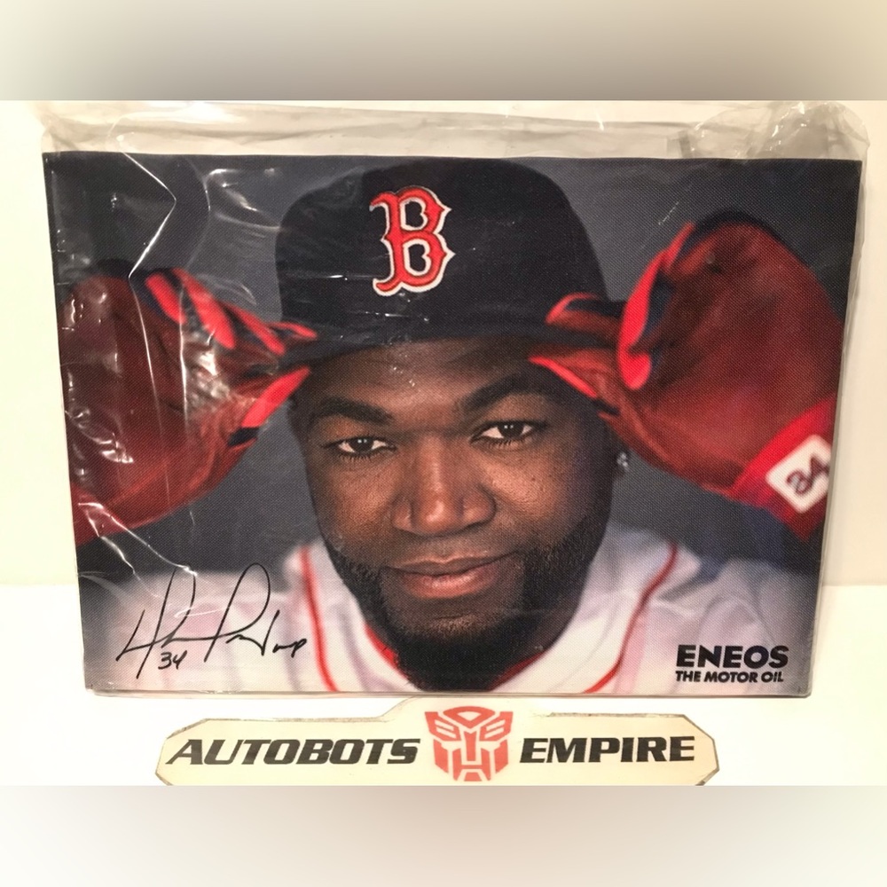 NEW May 24 2016 Official MLB BOSTON REDSOX Baseball DAVID ORTIZ ENEOS Canvas Art